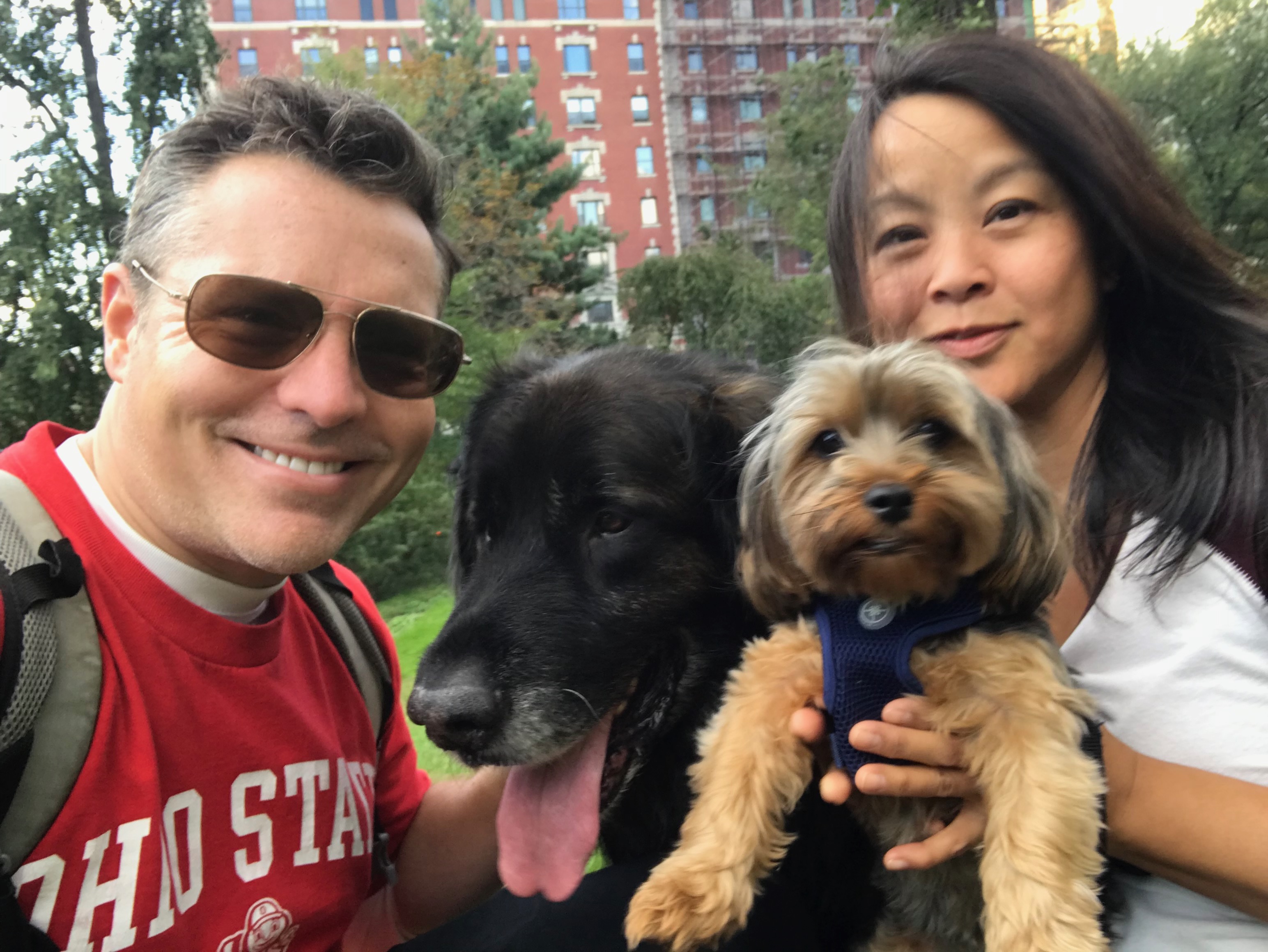 BJ with his dogs